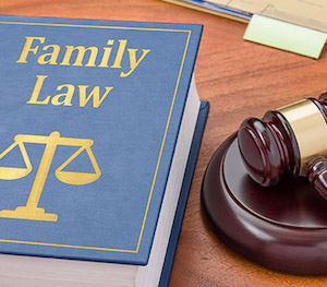 Family Law Cases